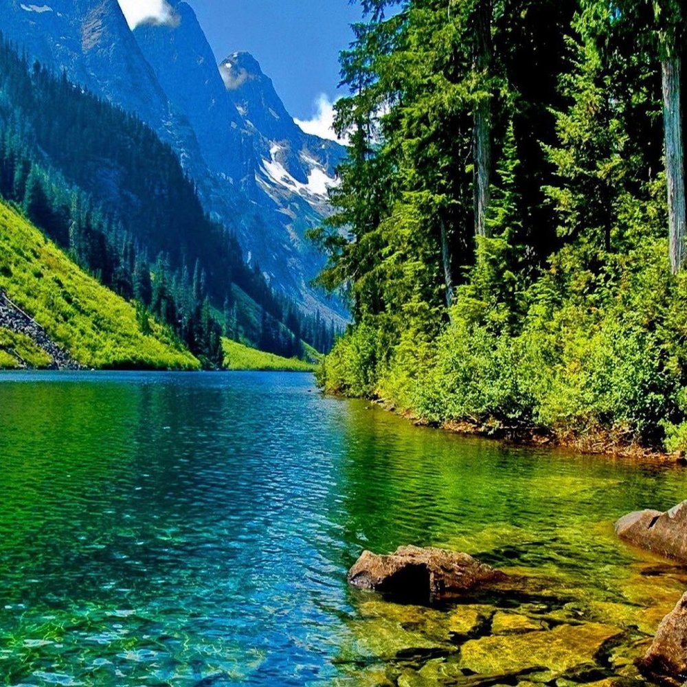 Meet your Posher, Jacqueline